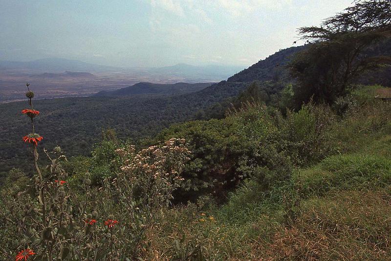 WT 1400 192-25 Kenya.jpg